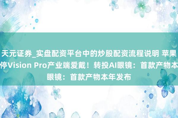 天元证券_实盘配资平台中的炒股配资流程说明 苹果基本暂停Vision Pro产业端爱戴！转投AI眼镜：首款产物本年发布